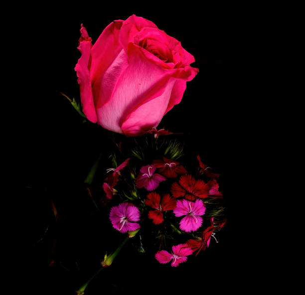 istock Colorful Floral Arrangement isolated 2165222075