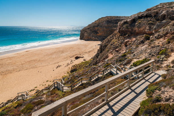 Ethel Wreck Beach boardwalk viewed  from the lookout