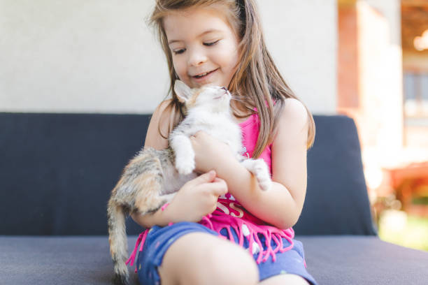 istock A cute kitten is cuddling with its new owner 2165222937