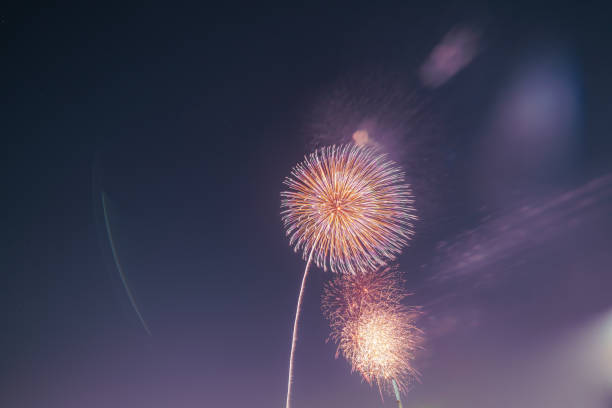 istock Fireworks at Teganuma Fireworks Festival 2165225894