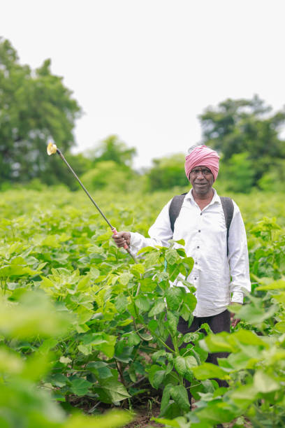 istock Indian farmer holding spray pump in hand 2165226065