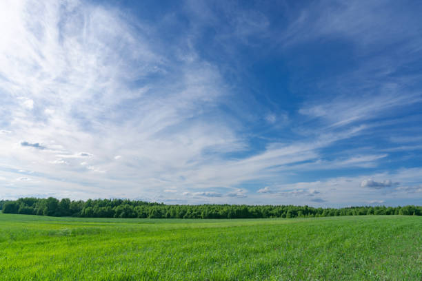 istock summer landscape with  road and clouds in the blue sky 2165226420