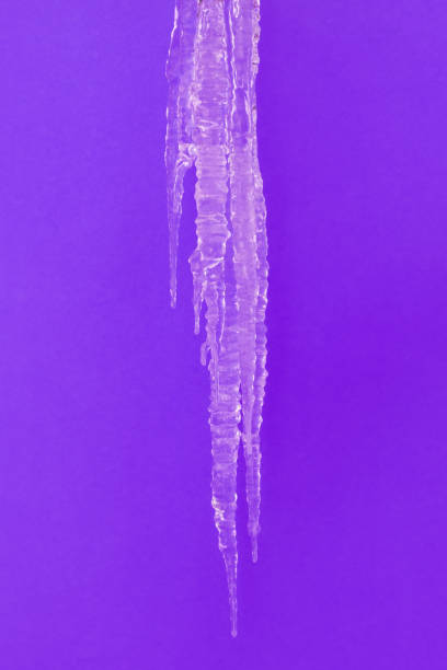 a large long icicle of ice on a violet background