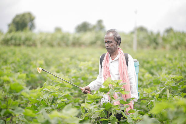 istock Indian farmer holding spray pump in hand 2165227314