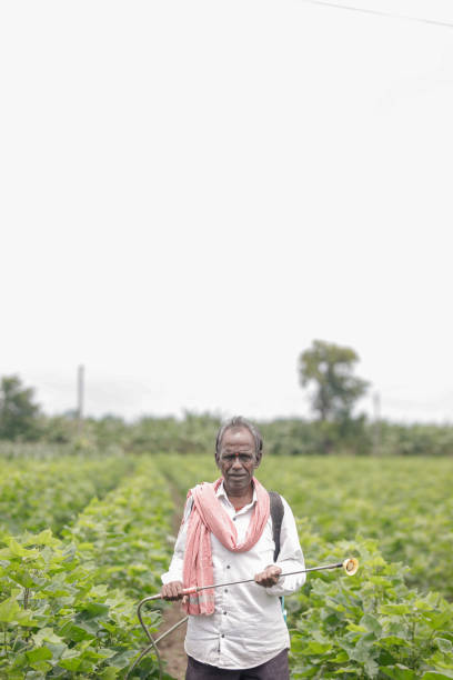 istock Indian farmer holding spray pump in hand 2165227587
