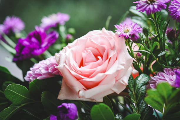 bouquet of beautiful flowers