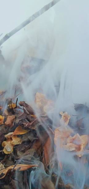 istock smoke and dry leaves 2165230633