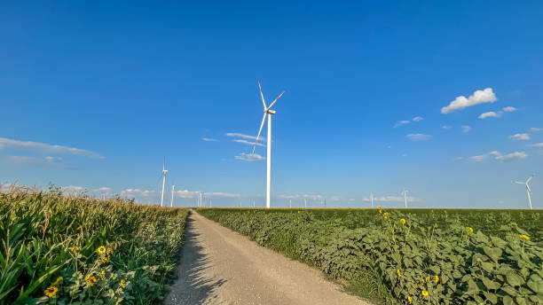 istock An energy windmill using wind power. An electric power generator is a wind turbine. A modern ecological power plant. A windmill in the field of Europe. Renewable energy. Electricity generation 2165231584