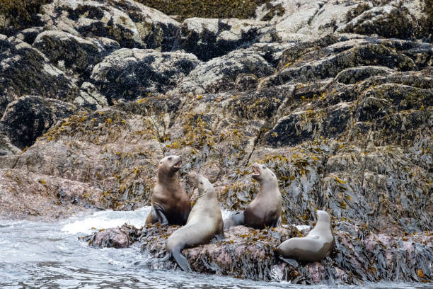 istock Epic vacation in Alaska 2165232939