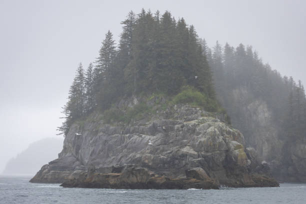 istock Epic vacation in Alaska 2165232979