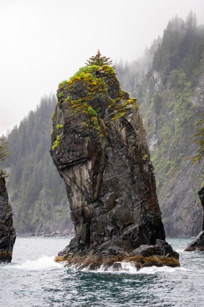 istock Epic vacation in Alaska 2165232982