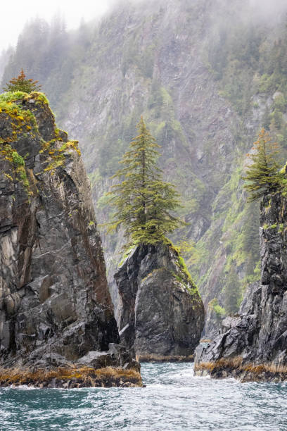 istock Epic vacation in Alaska 2165232986