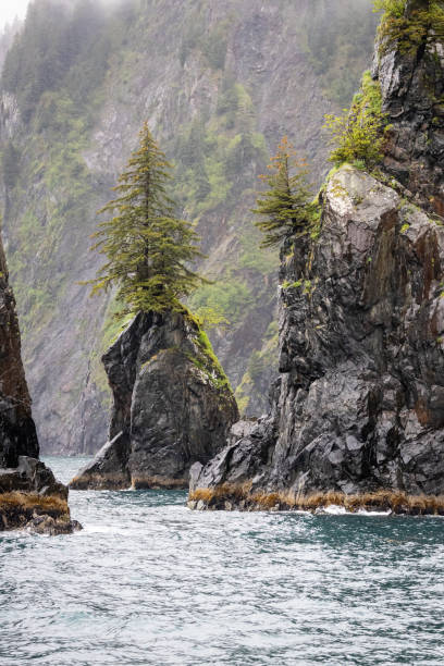 istock Epic vacation in Alaska 2165232991