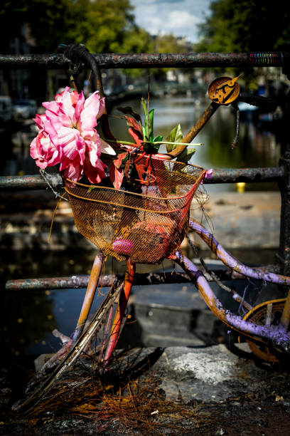 Amsterdam , Netherlands. Old broken bicycle with flower decoration on the railing of a bridge with view on a canal