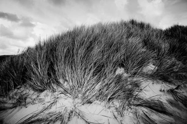 istock Netherlands Egmond aan Zee 2165240791