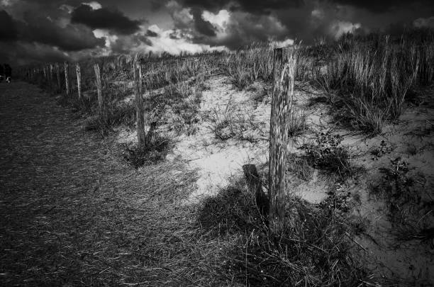 Fence on sand dunes, Stone Harbor, New Jersey, USA