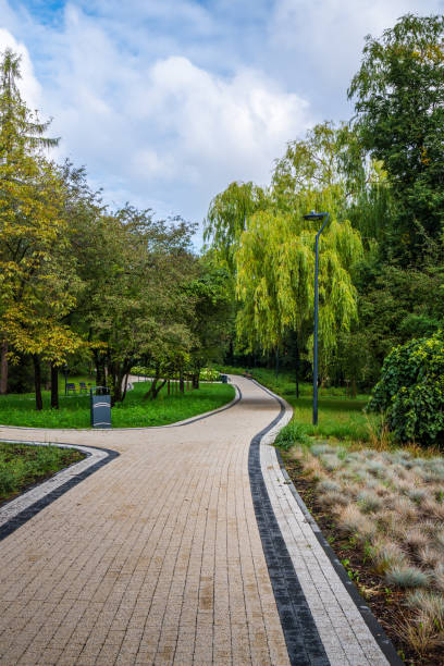 istock Scenic Park Pathway Curves Through Lush Greenery Under Cloudy Sky in Autumn 2165242866