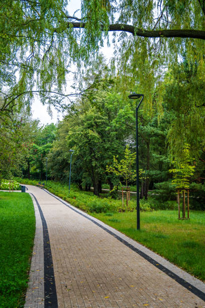 istock Serene Tree-Lined Pathway in Lush Green Park on a Cloudy Afternoon 2165242873