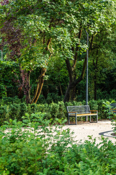 Serene Park Setting Featuring Wooden Benches Surrounded By Lush Greenery On A Bright Sunny Day