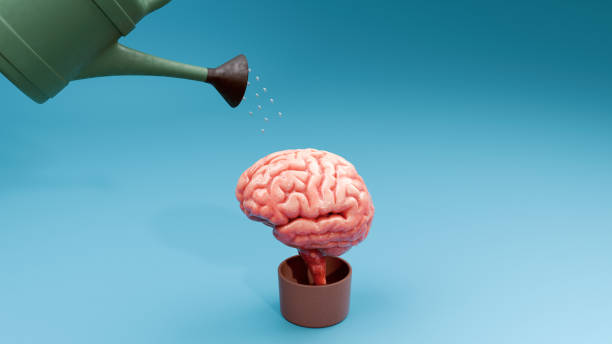 istock Cultivating Creativity: Nurture Your Brain for Success 2165245187