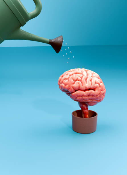 Planting Seeds of Knowledge: The Path to Mental Growth