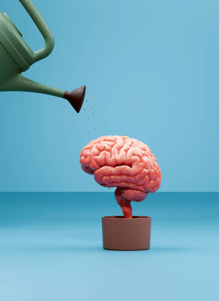 istock Growing Intelligence: The Key to Lifelong Learning 2165245203