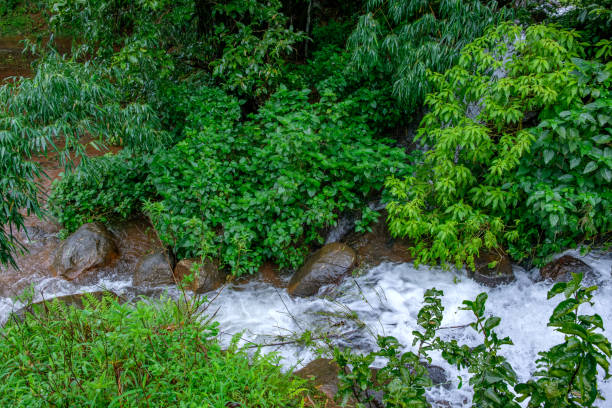 istock Monsoon Season India 2165246276