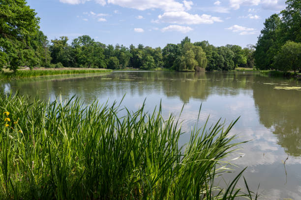 istock A lake in green nature 2165248499