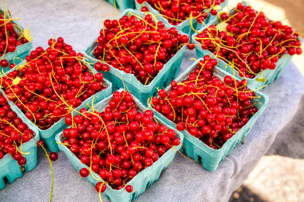 cartons of farmer's market red currants