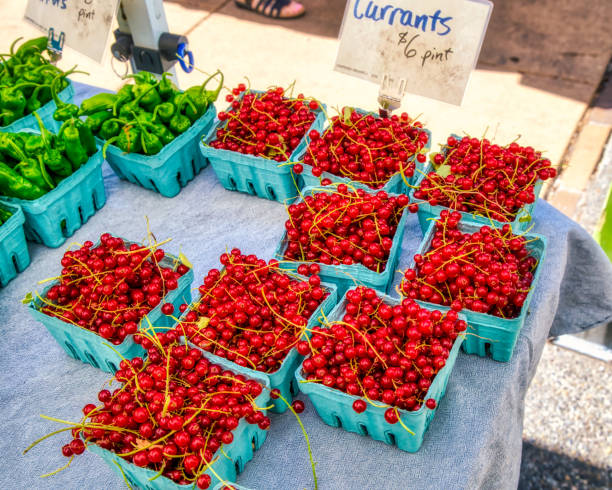 istock farmer's market red currants 2165251533