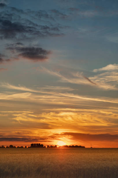 sunset in the countryside, summer, holiday, village, bedfordshire, uk