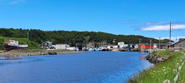 istock Gros morne parc national 2165256147
