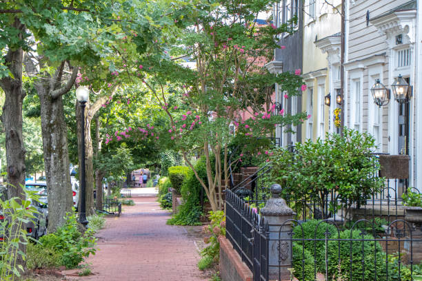 istock Historic Residential Area in DC 2165256321