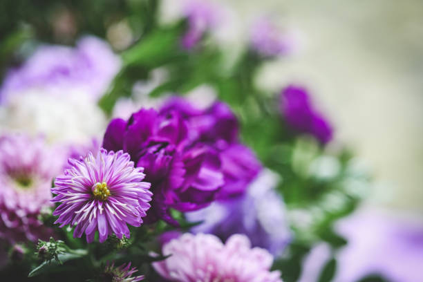 bouquet of beautiful flowers