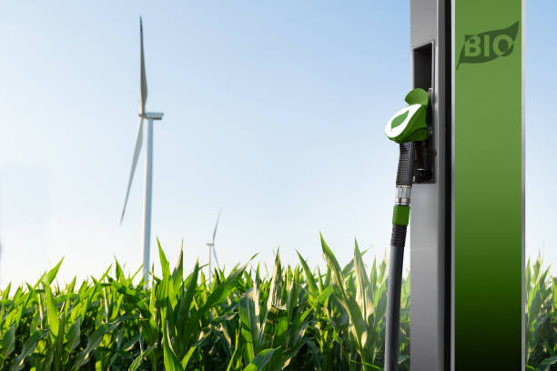istock Biofuel refueling nozzle on a background of corn field with wind turbines 2165260164