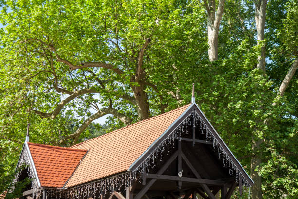 Rustic wooden structure with a terracotta-tiled roof