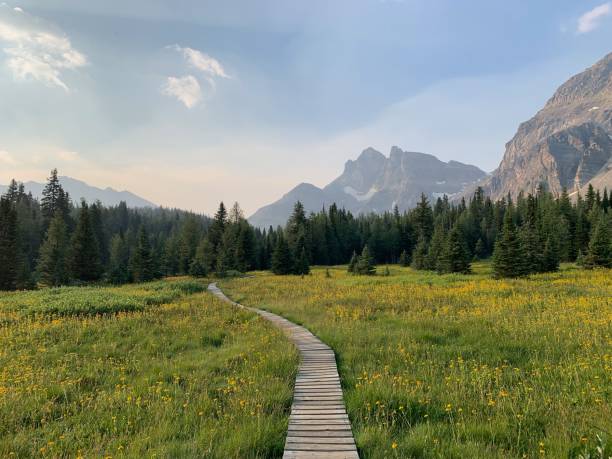 istock Horizontal View of a Hiking Path to Majestic Mountains 2165267428