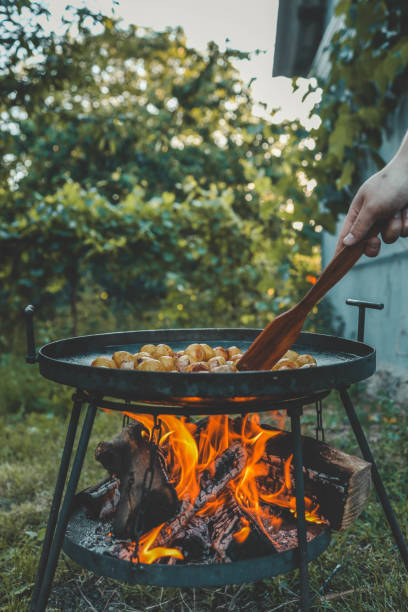 istock Potatoes with meat fried on fire, picnic in nature 2165270252