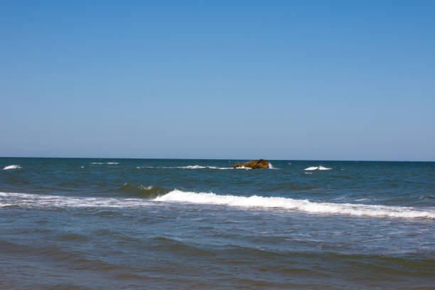 foam waves on a sandy beach. Seascape