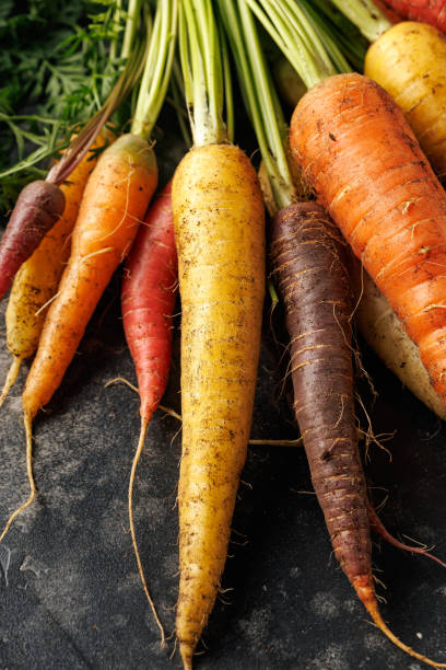 istock Freshly picked Rainbow carrots from kitchen garden. 2165274622