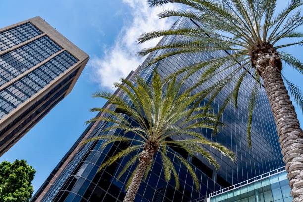 istock Skyscrapers and Palm Trees 2165274657