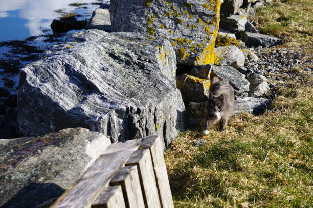 Spring trip around Gjemnes