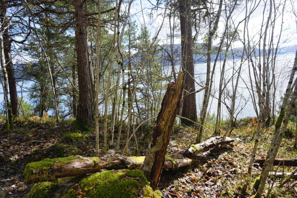istock Hjelset and Gjemnes 21st April 2165276629