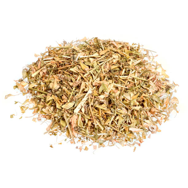 istock Capsella bursa-pastoris isolated on white. 2165279646
