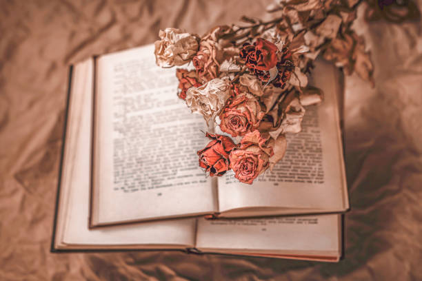 Open book with dried roses lying on its pages, creating vintage and nostalgic atmosphere