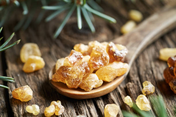 istock Frankincense resin crystals on a wooden spoon, with spruce branches 2165281799