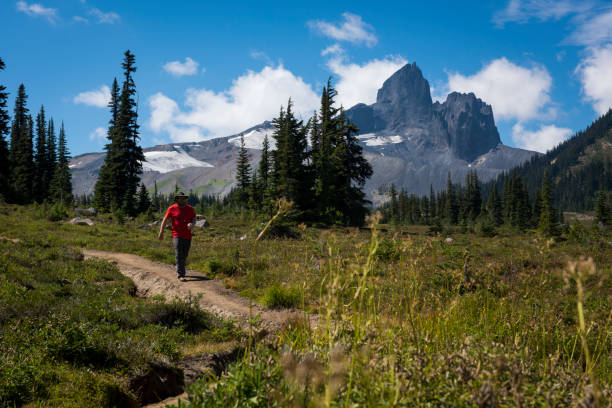 istock Man hikes through meadow below mountain peak 2165281852