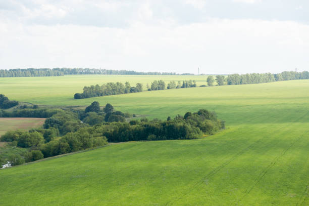 istock Green fields and copses on the horizon 2165283026