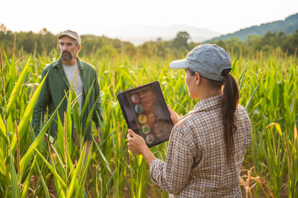 istock Smart Farming. Farmers Use Tablet in Corn Field at Sunset. 2165293021