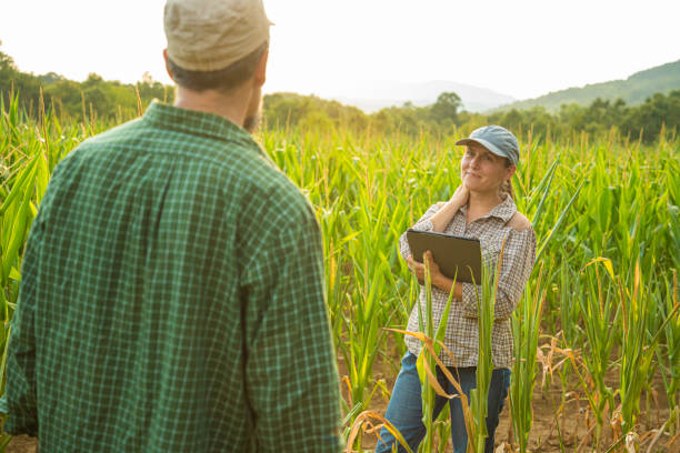 istock Smart Farming. Farmers Use Tablet in Corn Field at Sunset. 2165293023